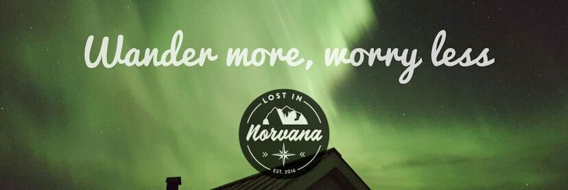 LostInNorvana's profile banner image