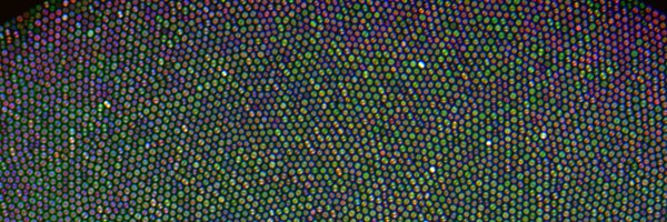 tonyorth Profile Banner