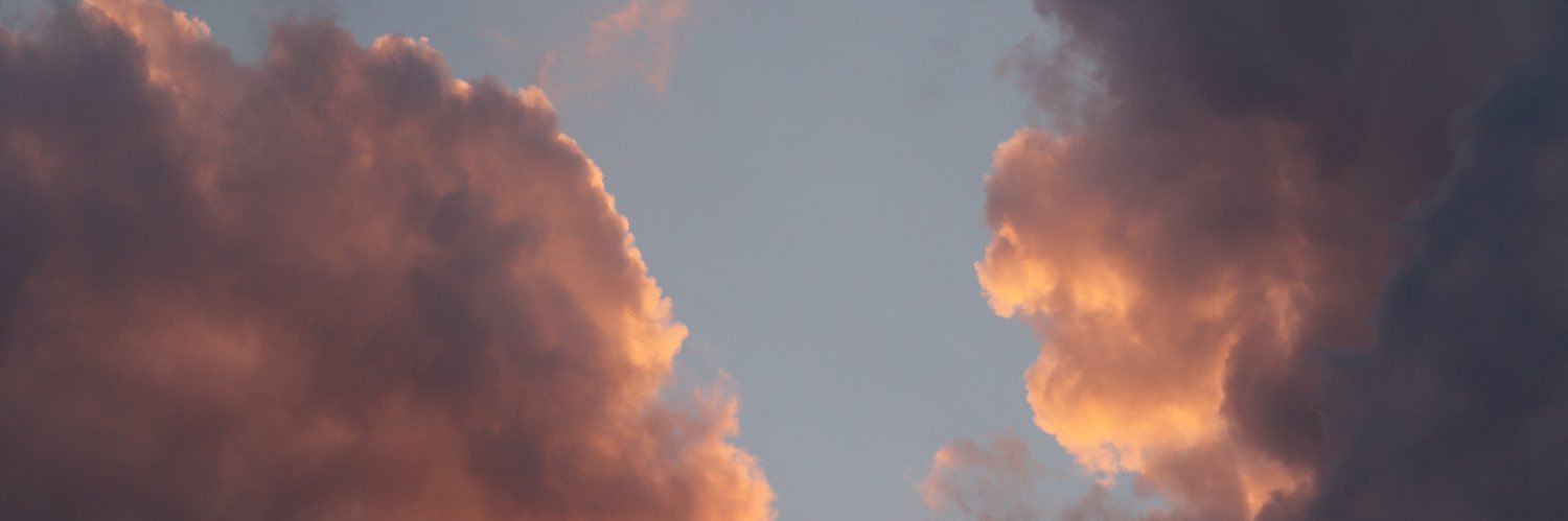 pippaclouse's profile banner image