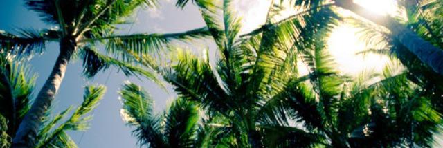 xalymarie's profile banner image