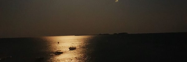 LadyFerny Profile Banner