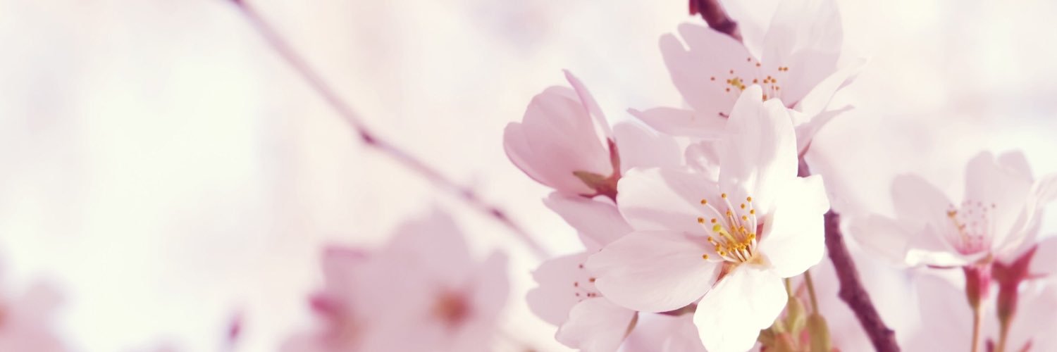 `SweetyPie,파이~♥🥧 banner