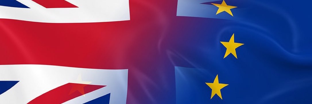 David Rooke SOS NHS💙 Get BREXIT UNDONE💙💙🇪🇺 banner