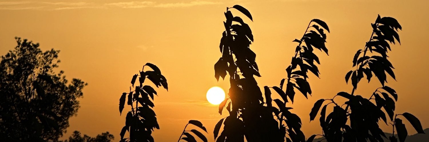 albertlsga's profile banner image
