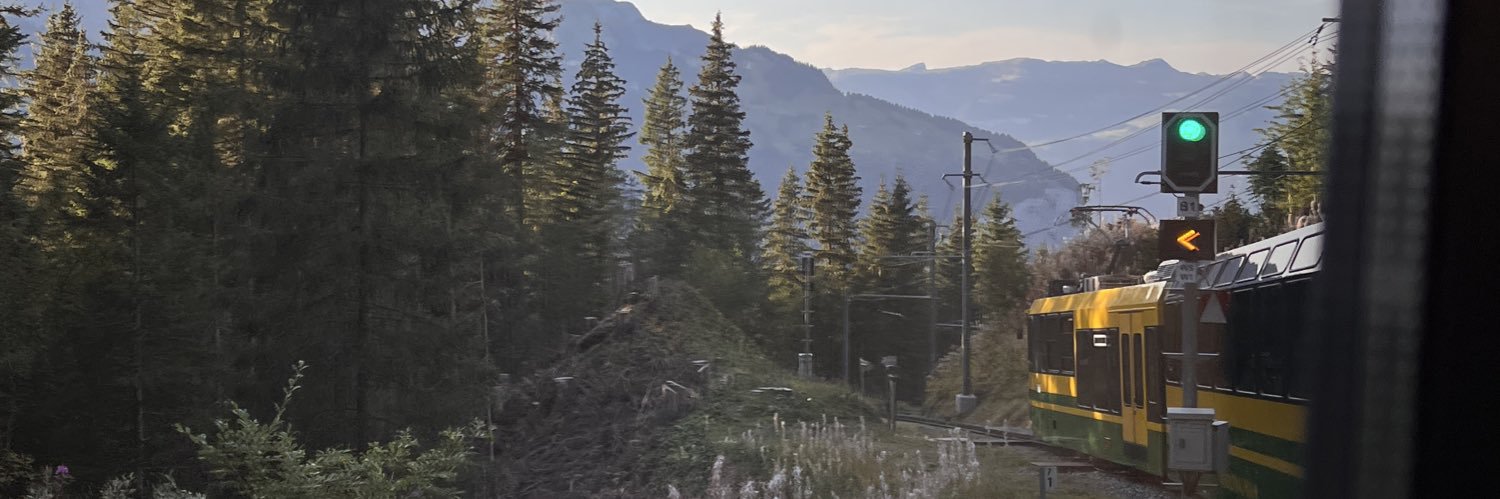 ladladmik's profile banner image