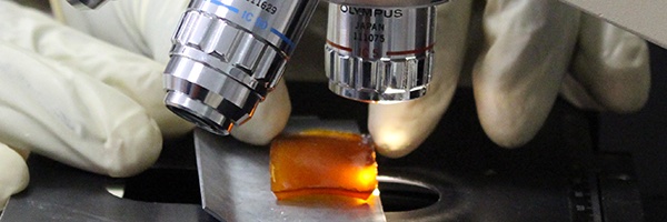 mapiemlab's profile banner image