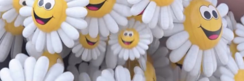 ottoile's profile banner image