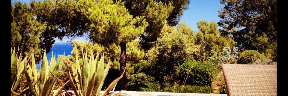 mathilde_fumey's profile banner image