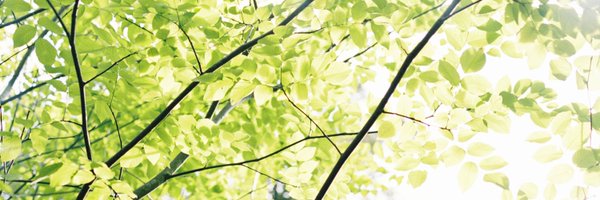 shalmo Profile Banner