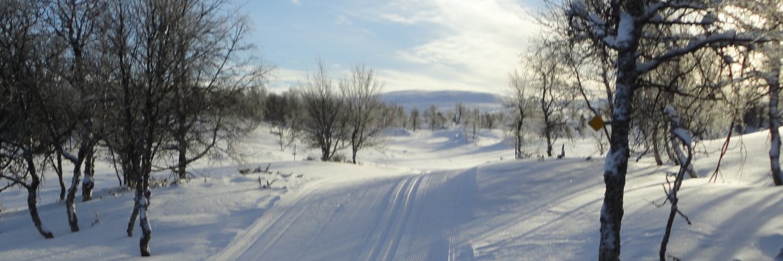 AnnaFabisch's profile banner image