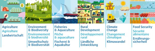 EESC_NAT Profile Banner