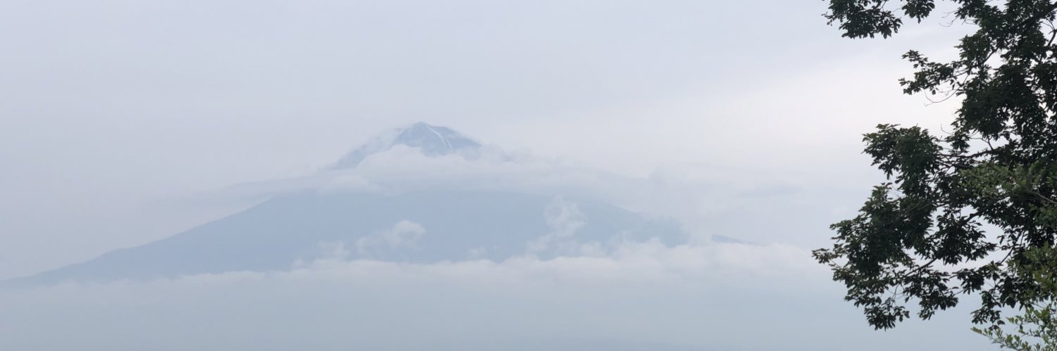 xLadyGayGa's profile banner image