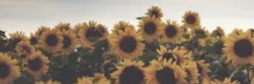 brandaaaaaay's profile banner image
