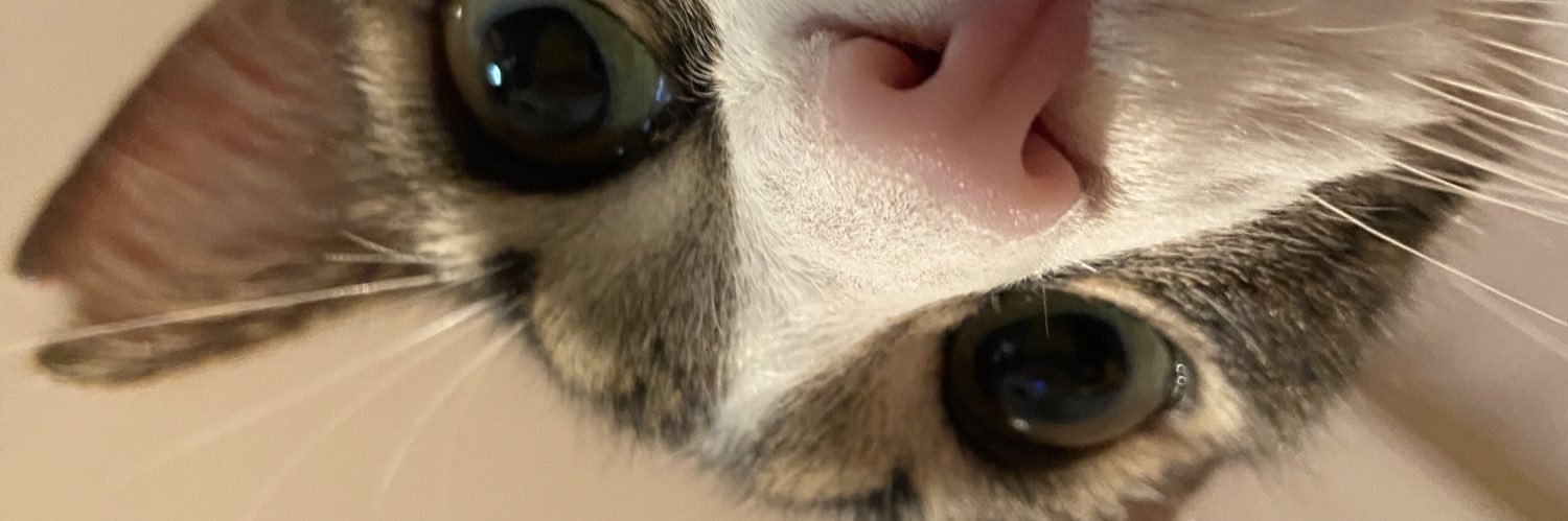 bluegrungee's profile banner image