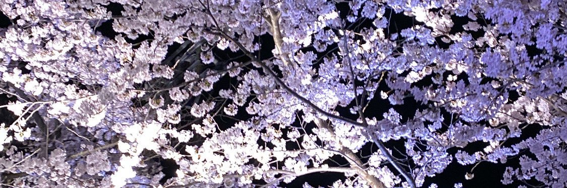 skyyy_aaa's profile banner image