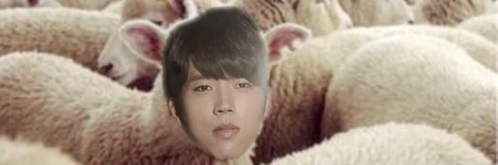 sdsdsdlove_'s profile banner image