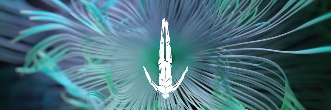 vila_0010's profile banner image