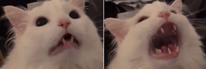 Retro Architect banner