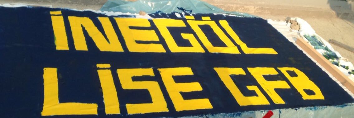 LiseGFB16's profile banner image