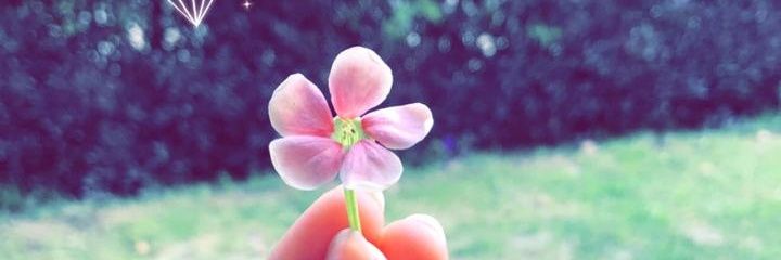 msnhashmi's profile banner image