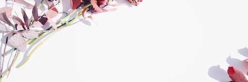 lo_tierno's profile banner image