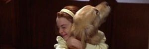 alexayall's profile banner image