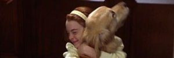 alexayall Profile Banner