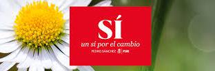 psoemunicillora's profile banner image