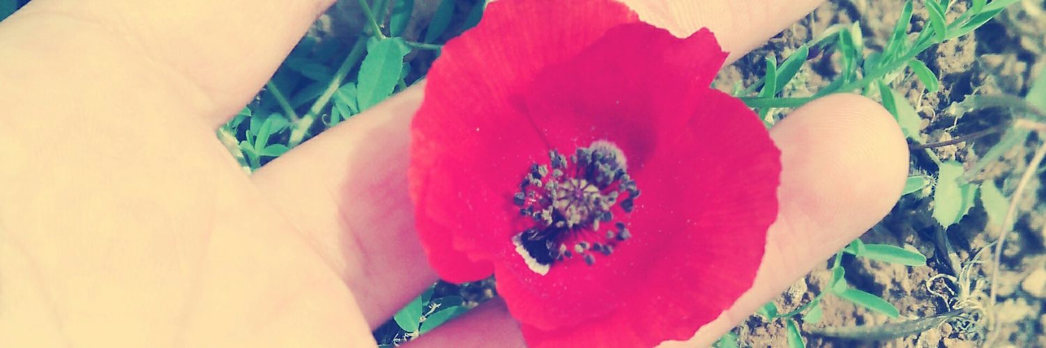 fari_rose23's profile banner image
