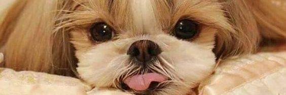 hey_abie's profile banner image