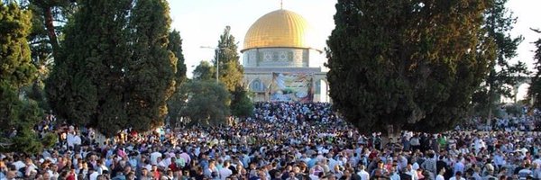 ZaherElbaik Profile Banner