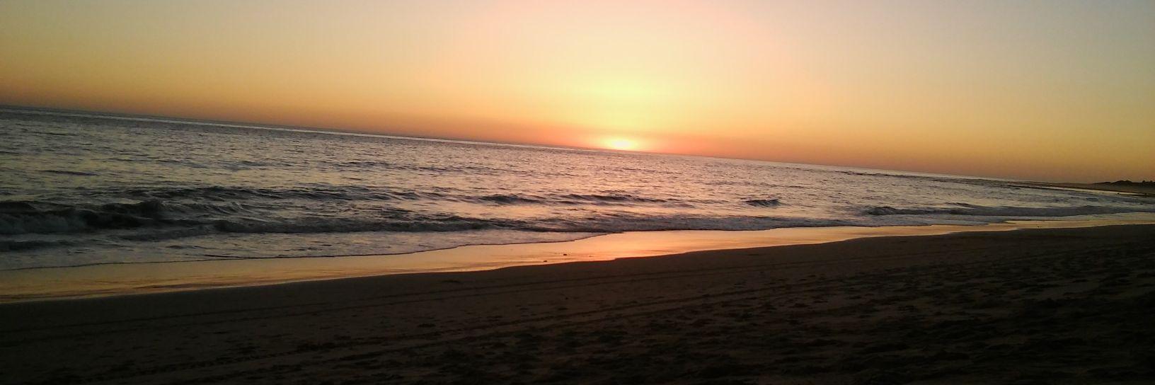 Dani R. Sayago. banner