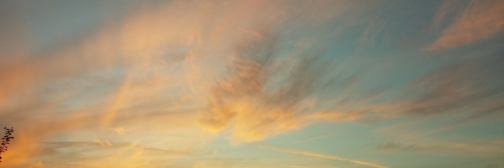 kfirdahan's profile banner image