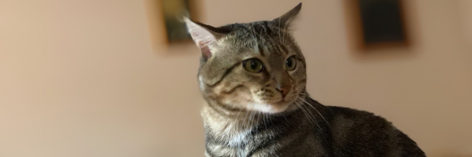 Fixein banner
