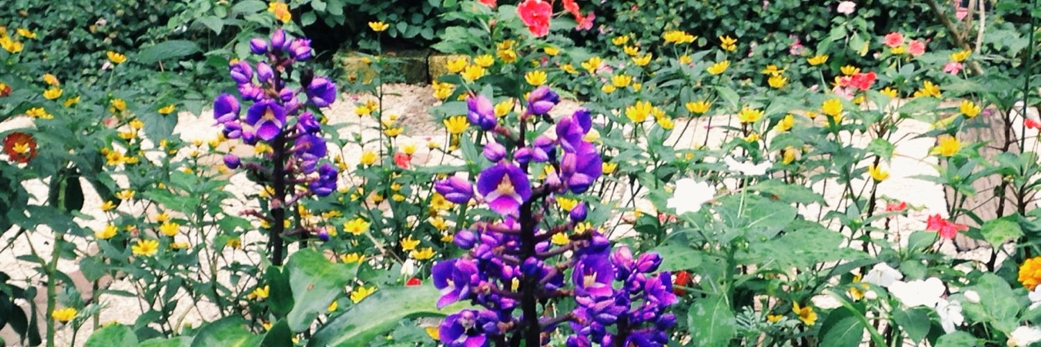 samieyap's profile banner image