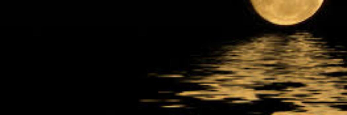 Francisco José Luque banner