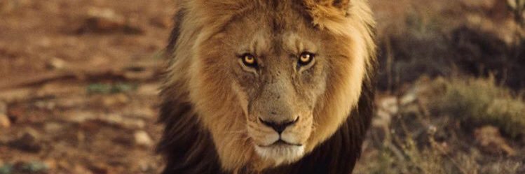 marcosgomez8's profile banner image