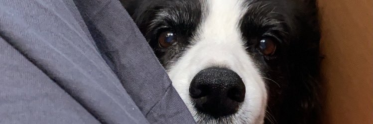 stmltk's profile banner image