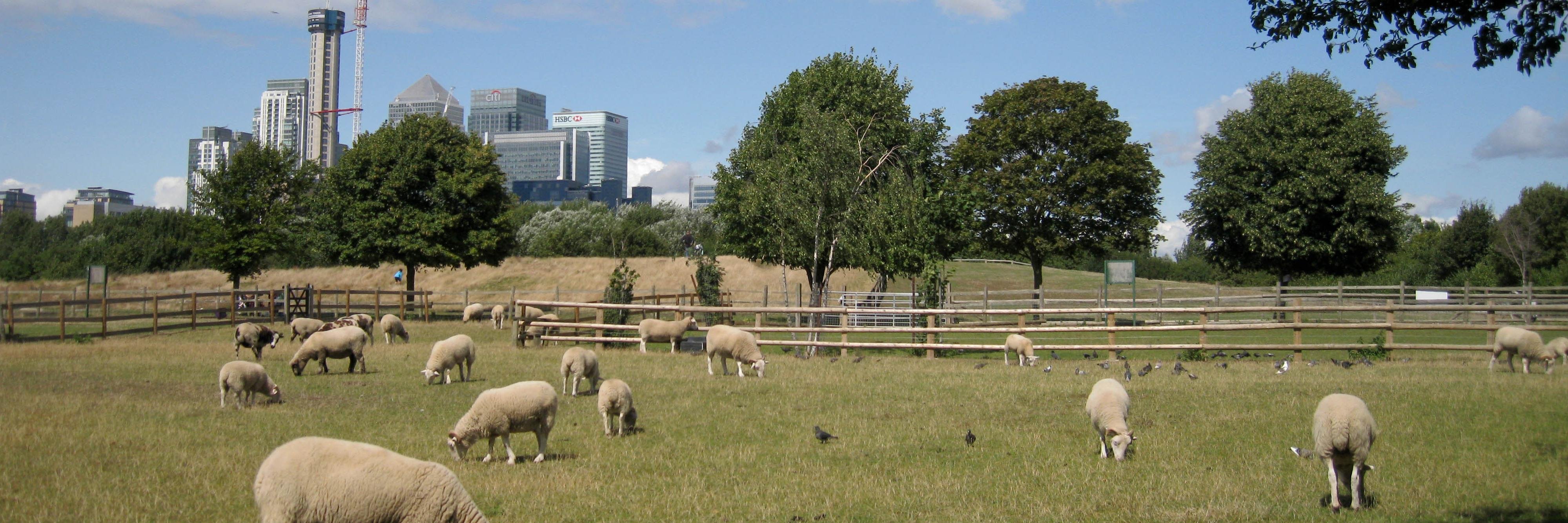 Mudchute Park + Farm banner