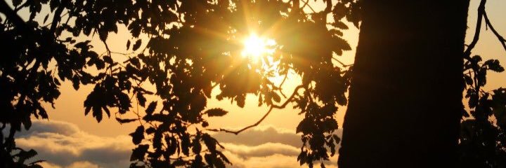 Larawaked's profile banner image
