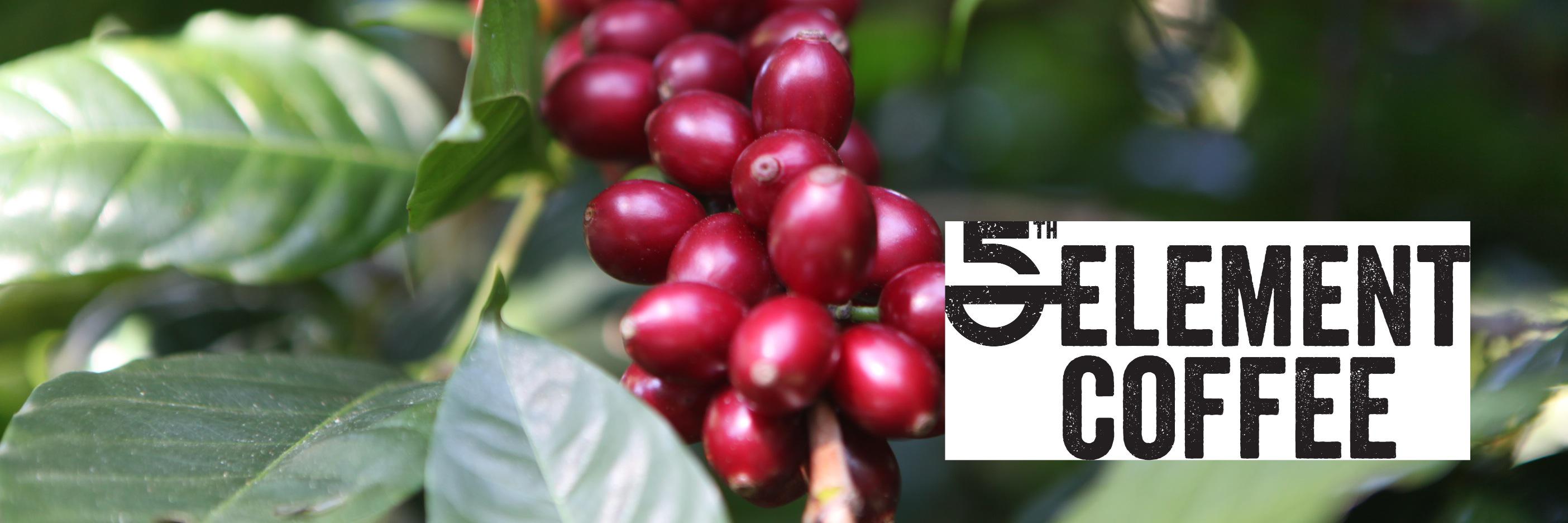 5th Element Coffee banner