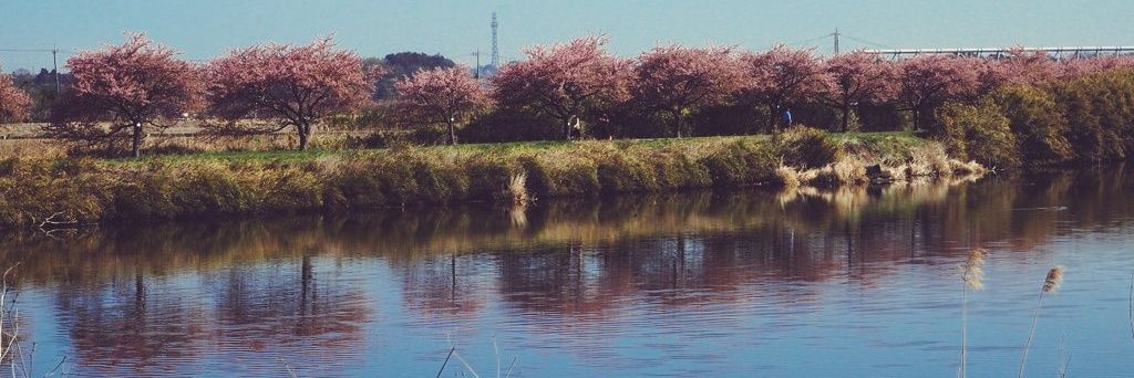 ku_a803's profile banner image