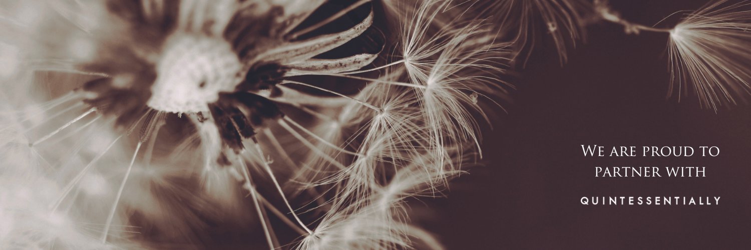 TutorsIntl's profile banner image