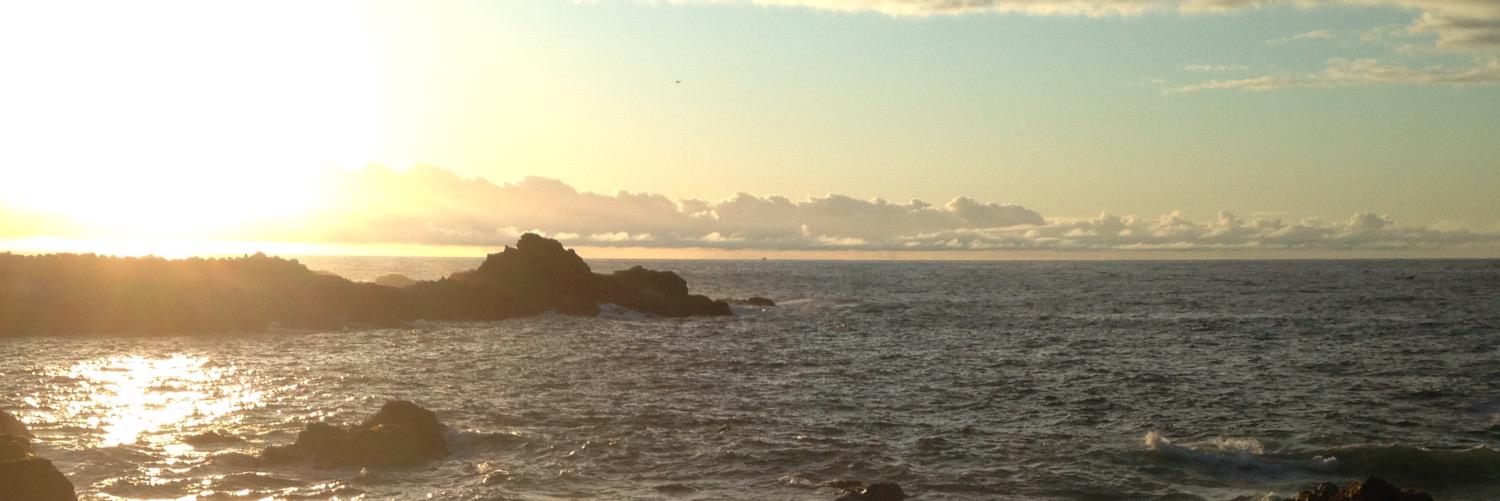 marisol33127750's profile banner image