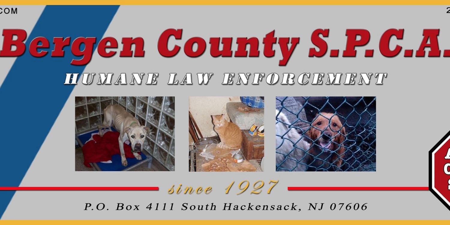 BergenSpca's profile banner image