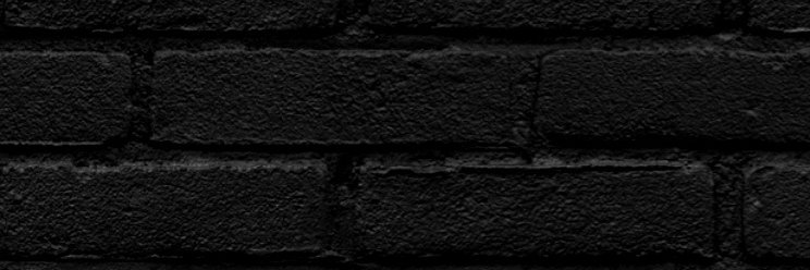Dixie Rose 🌹 banner