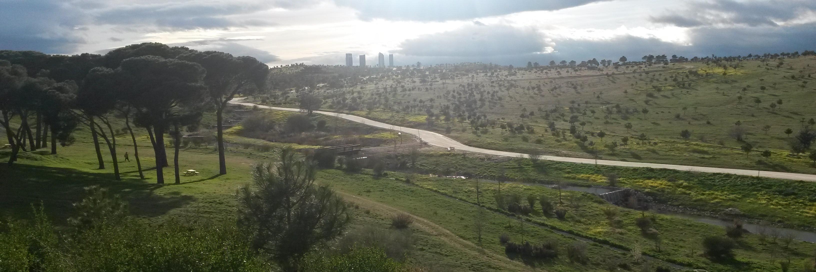 Parque Forestal Valdebebas - Felipe VI banner