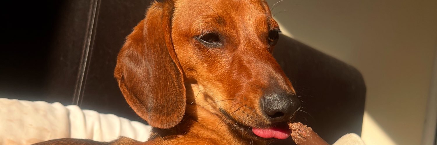 sophhmoore's profile banner image