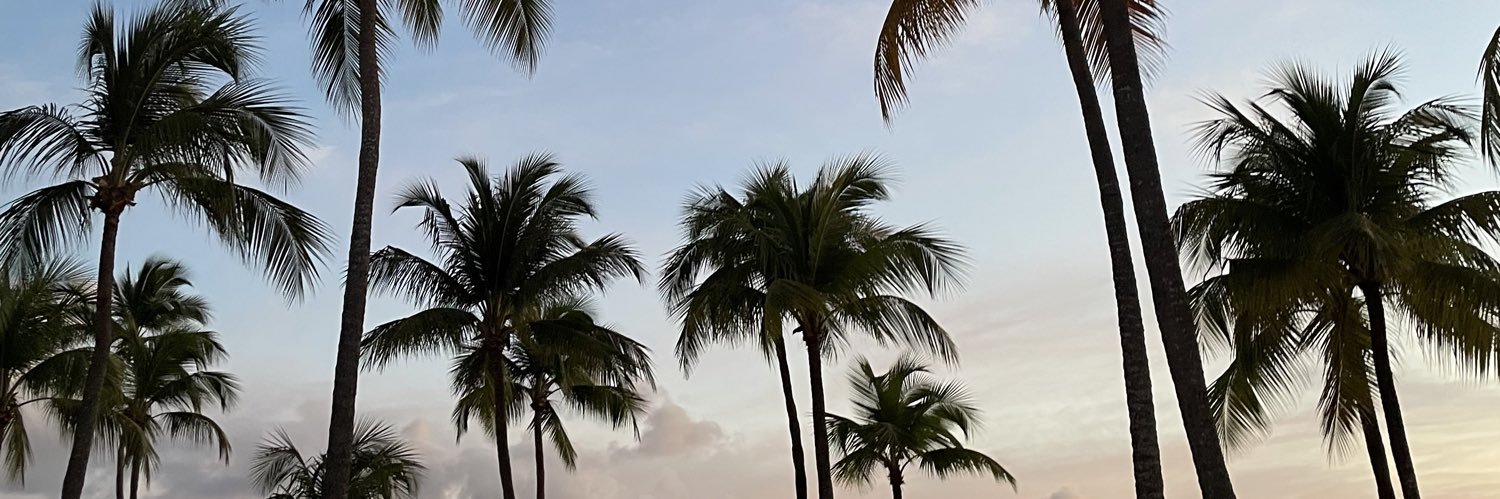 louisedcp's profile banner image