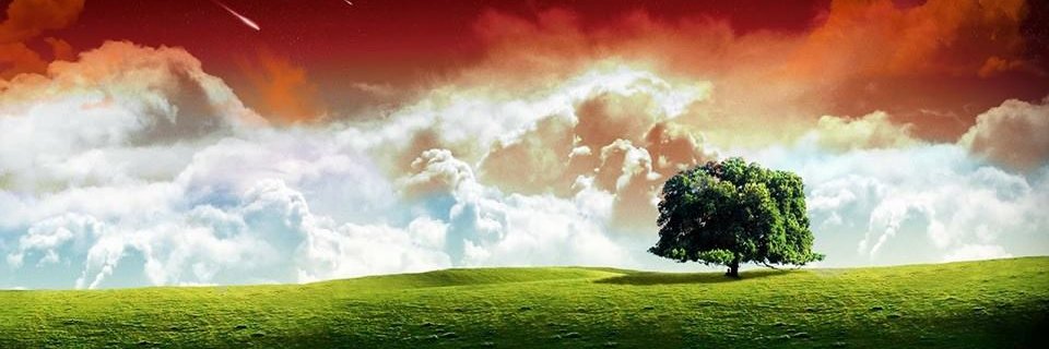 dearguy_lost's profile banner image